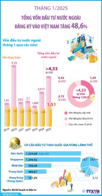 0702 fdi
