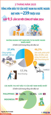 1103 dau tu ra nuoc ngoai 1
