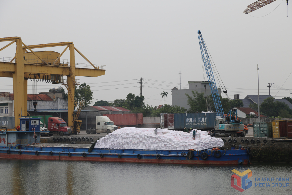 TP Móng Cái: Đầu tư hạ tầng cho sự phát triển bền vững <br>芒街市:投资基础设施促进可持续发展 4 2321226 wtm 0cfdf76763bc8cc86e78e3fc9f27c886