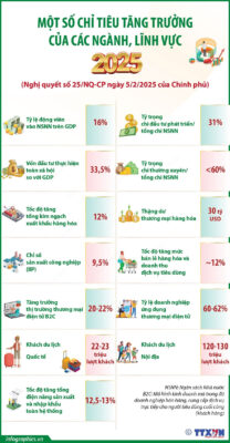 infographics chi tieu tang truong 1