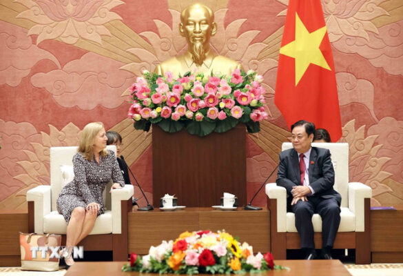 le minh hoan wb 2
