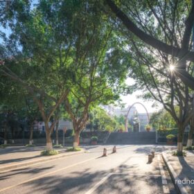 Đại học Chính Pháp Tây Nam tuyển sinh hệ Đại học năm 2025 9 IMG 6916