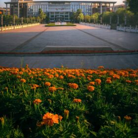 Đại học Chính Pháp Tây Nam tuyển sinh hệ Đại học năm 2025 10 IMG 6918