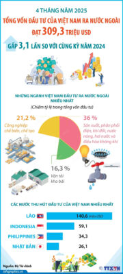 vna potal 4 thang nam 2025 dau tu cua viet nam ra nuoc ngoai gap 31 lan so voi cung ky nam 2024 8018274