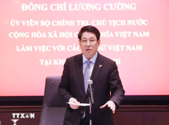 chu tich nuoc lam viec voi cac dai su viet nam tai chau phi 8
