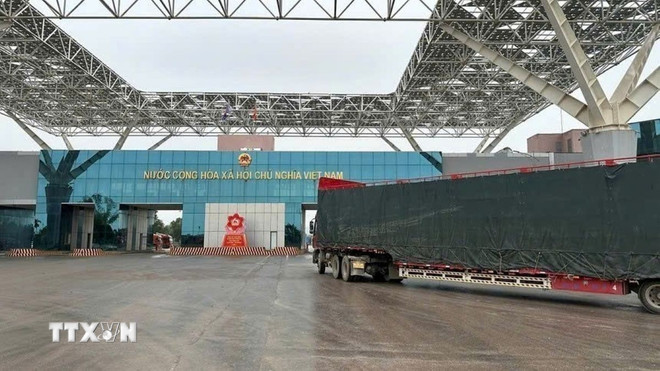dua tuoi3