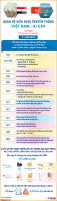 info viet nam ai cap