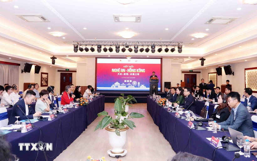 nghe an hong hong 1