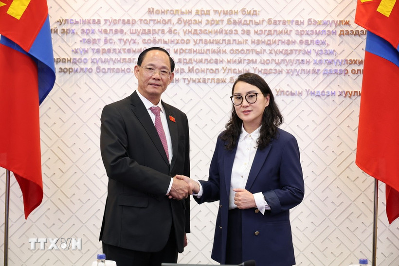 viet nam mong co 3 1