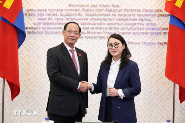 viet nam mong co 3