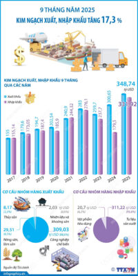 vna potal 9 thang nam 2025 kim ngach xuat nhap khau tang 173 8323925