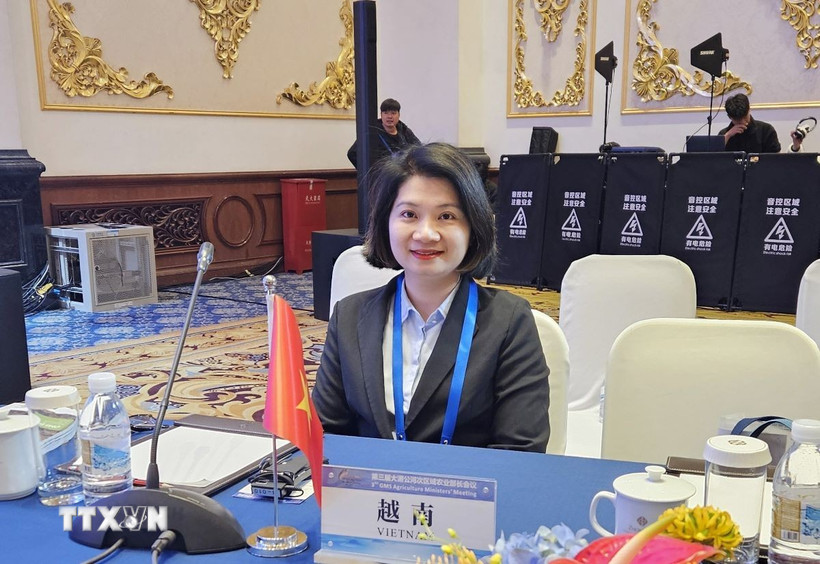 gop y du thao van kien dai hoi xiv dau moc then chot mo ra ky nguyen vuon minh 1211