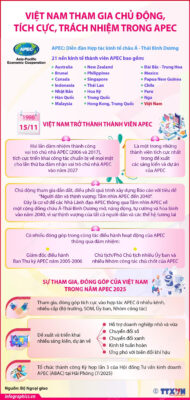 vna potal viet nam tham gia chu dong tich cuc trach nhiem trong apec 8373069