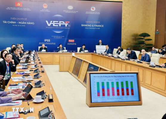 dien dan kinh te viet nam 1