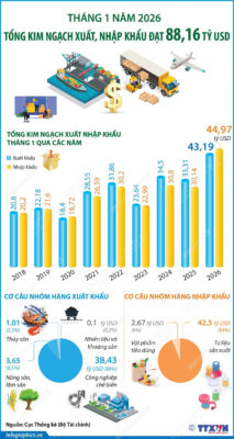 info xuat nhap khau