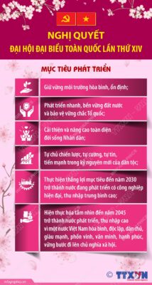 2026 2 10 nghi quyet dh 14 ruby