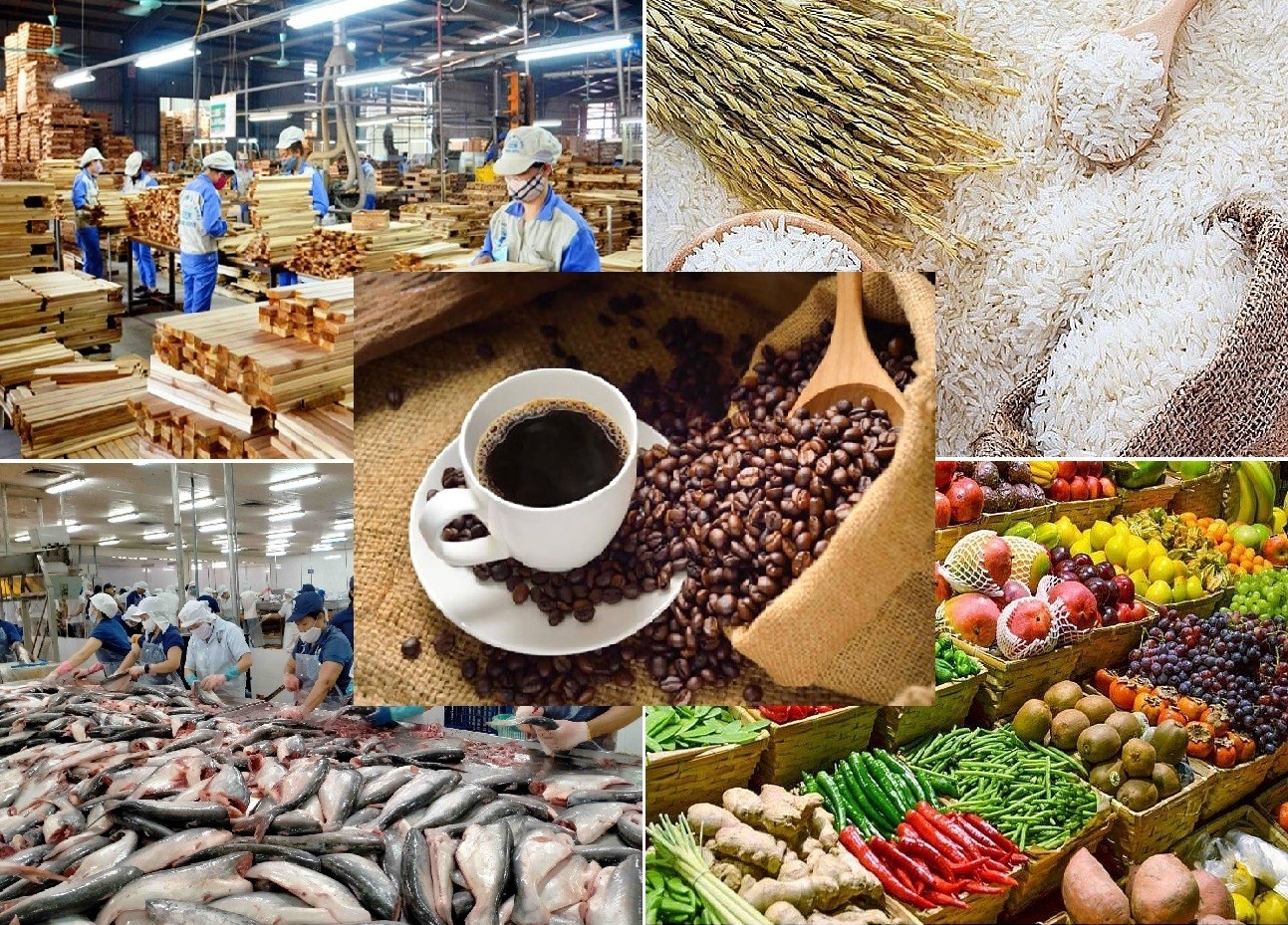 Cửa khẩu thông minh – “đòn bẩy” mới giúp nông sản Việt mở rộng thị phần tại Trung Quốc<br>智慧口岸——助力越南农产品扩大在华市场份额的新‘杠杆’ 1 lam san 2552 172439181417177638721 1741046605 1774306125