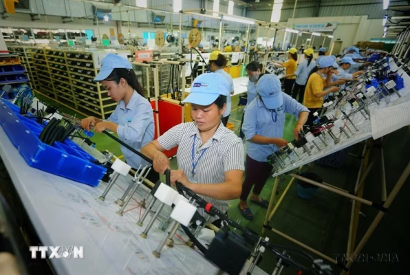 vietnam an do 2