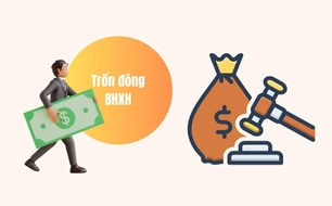 tu hom nay 15 6 2026 so noi vu phai theo doi viec cham dong tron dong bhxh bat buoc 1506082534