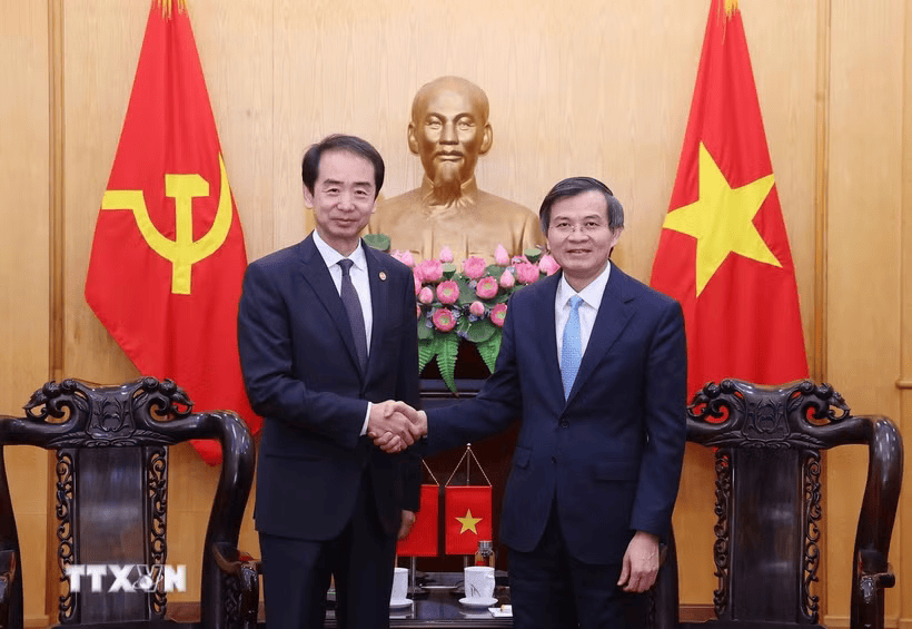vn tq
